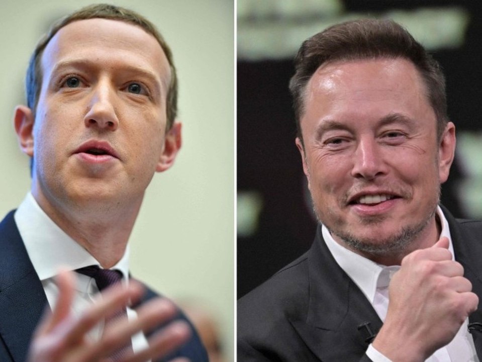 Zuckerberg: Musk wird vor Käfigkampf kneifen
