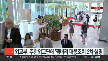 외교부, 주한외교단에 '잼버리 대응조치' 2차 설명