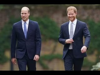 Le nouveau film du prince Harry pourrait bouleverser William alors qu'un expert affirme qu'il "mine