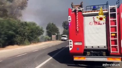 Incendi, brucia la Sardegna: 600 evacuati nel nuorese