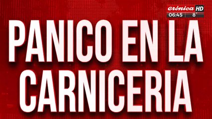 Tremendo robo a carnicería queda registrado en video