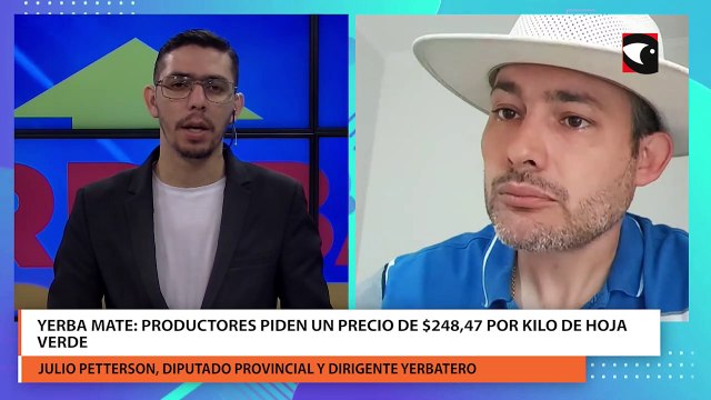 Yerba Mate: Productores piden un precio de $248,47 por kilo de hoja verde