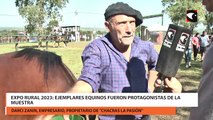 Expo Rural 2023: Ejemplares equinos fueron protagonistas de la muestra