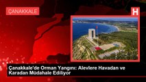 Çanakkale'de Orman Yangını: Alevlere Havadan ve Karadan Müdahale Ediliyor