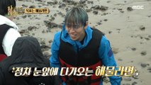 [HOT] L, the model student who catches crabs using tools, 안싸우면 다행이야 230807