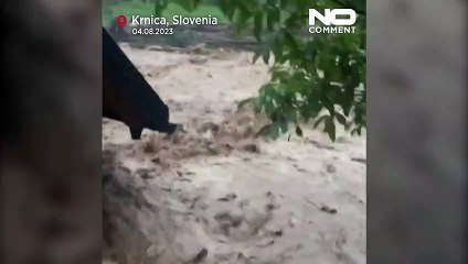 Operações de limpeza na Eslovénia após chuvas torrenciais