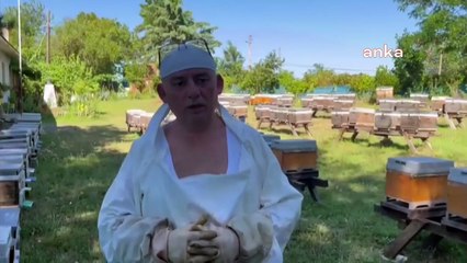 Kestane Balı Üreticileri Zor Durumda