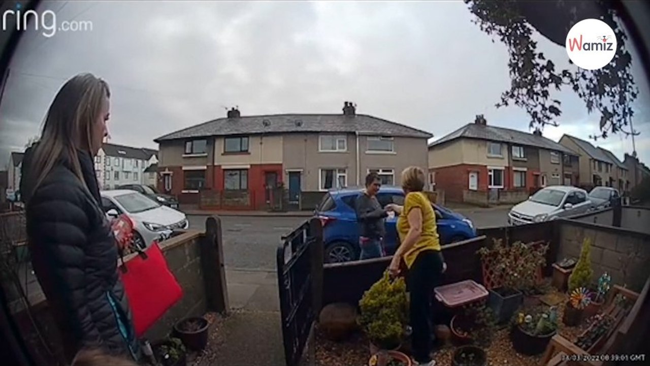 Frau wütend über die Nachbarin und Hund: Millionen feiern sie für ihre Rache!