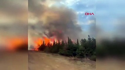 Çanakkale'de orman yangını: Müdahale sürüyor