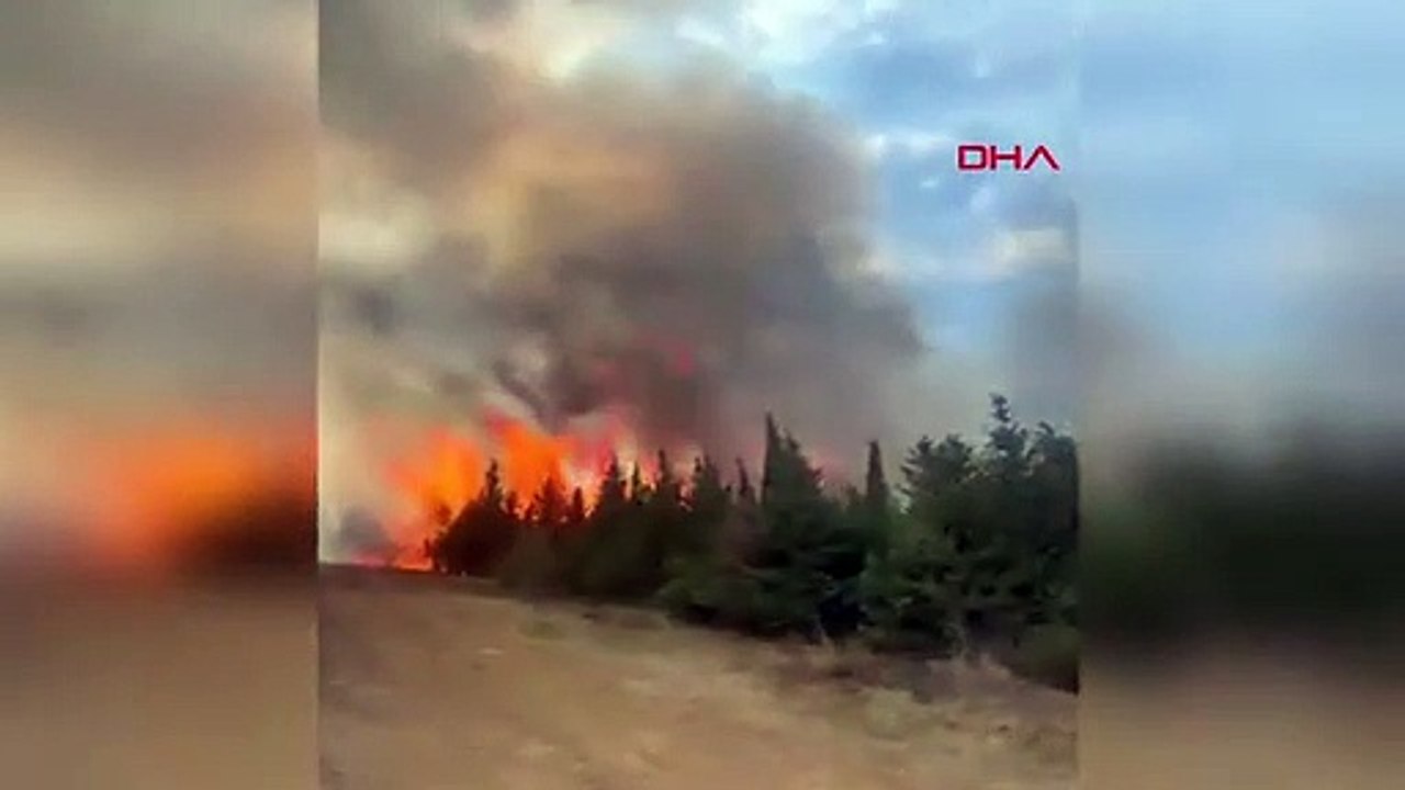 Çanakkale'de orman yangını: Müdahale sürüyor