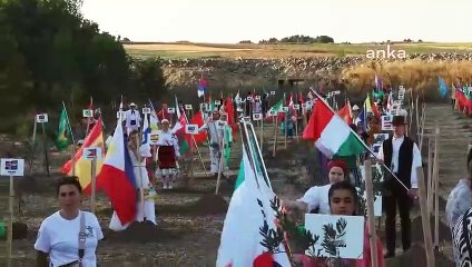 100 oliviers plantés au Festival international de la culture et de l'art d'Istanbul Büyükçekmece