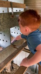Little Guy Needs Kisses from Mom for Head Bump