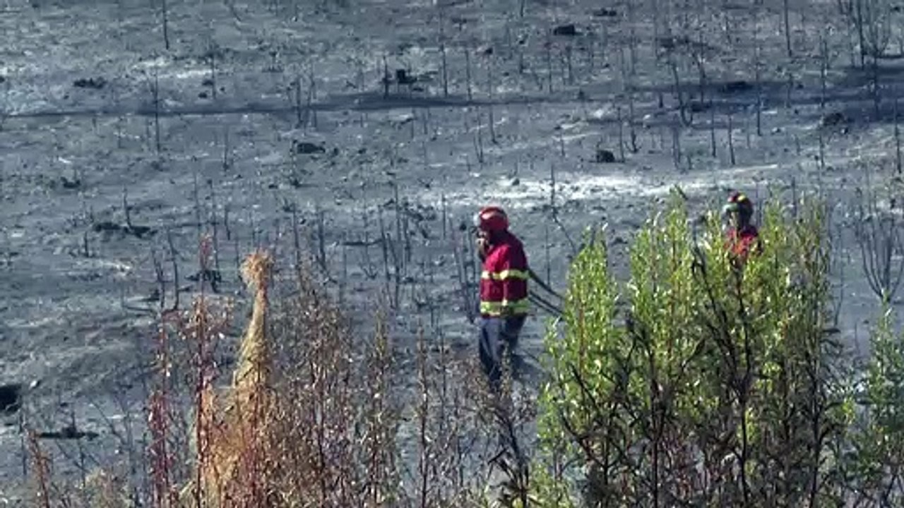 Brände am Mittelmeer zerstören tausende Hektar Vegetation