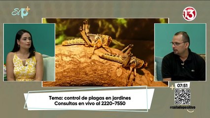 Control de plagas en el jardín
