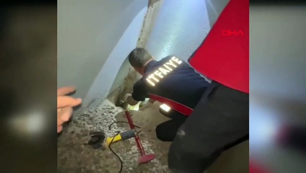 Un chaton coincé dans un tuyau d'évacuation des eaux usées à Erbaa a été sauvé