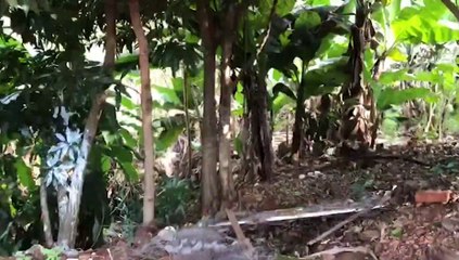 Aparentemente não há lesões em corpo encontrado no Santos Dumont, afirma DH