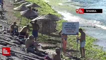 İstanbulluların deniz keyfine engel: Avcılar Sahili yosunla kaplandı