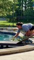 Une femme aide les canetons à sortir de la piscine