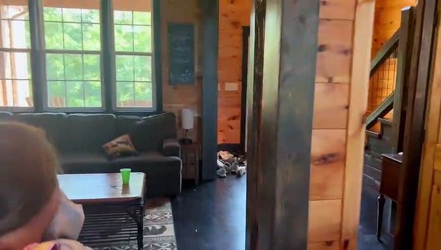 Bear explore les voitures des vacanciers