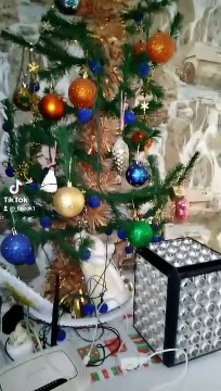 Тик ток фото звёзда