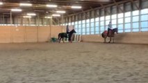 Horse rider is thrown off when he tries to turn his noble steed *Hilarious Fail*