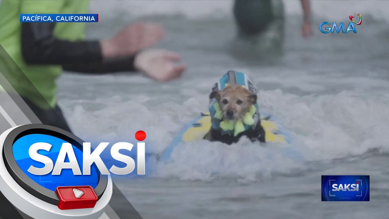 Mga aso, naki-surfin' in the U.S.A. sa World Do...
