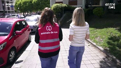 Entre Nós - Associação Animais de Rua