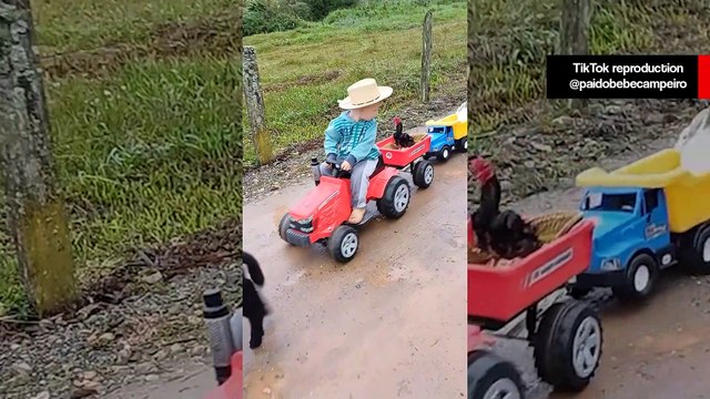 Vídeo fofo: bichos seguem pequeno encantador de animais em seu tratorzinho motorizado