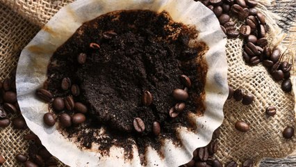 9 Surprising Things You Can Do With Leftover Coffee Grounds