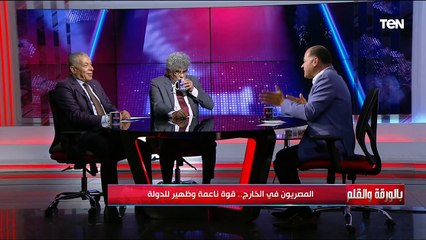 المصريون في الخارج.. قوة ناعمة وظهير للدولة
