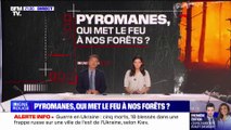  “Pyromanes: qui met le feu à nos forêts?”, suivez le long format Ligne Rouge sur BFMTV