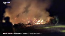 LIGNE ROUGE: La famille de pyromanes qui a terrorisé les agriculteurs de Chasseneuil-sur-Bonnieure