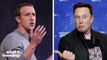 Social Media Slams Elon Musk for Delaying Zuckerberg Versus Musk Fight