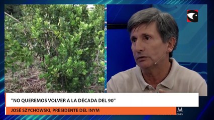 Rotundo rechazo desde el INYM a la desregularización de la yerba mate