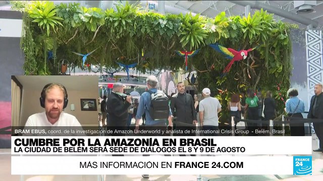 Bram Ebus: “Encontramos una red criminal con integrantes de varios países en la Amazonía”