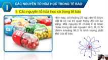 Sinh 10 - Bài 5 Các nguyên tố hóa học và nước