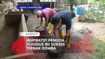 Inspiratif! Pemuda di Kudus Ini Sukses Usaha Ternak Domba