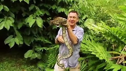 Serpent contre journaliste ! - ZAPPING SAUVAGE 22 (2)