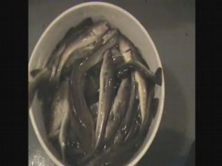 Peche en Cabane sur Glace Quebec 2008-Ice Fishing
