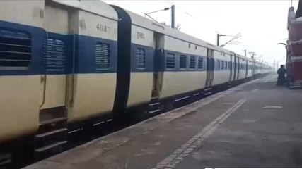 बड़ा हादसा: दुर्गावती में ट्रेन की चपेट में आने से 40 भेड़ों की मौत, अचानक ट्रैक पर जाने से हादसा