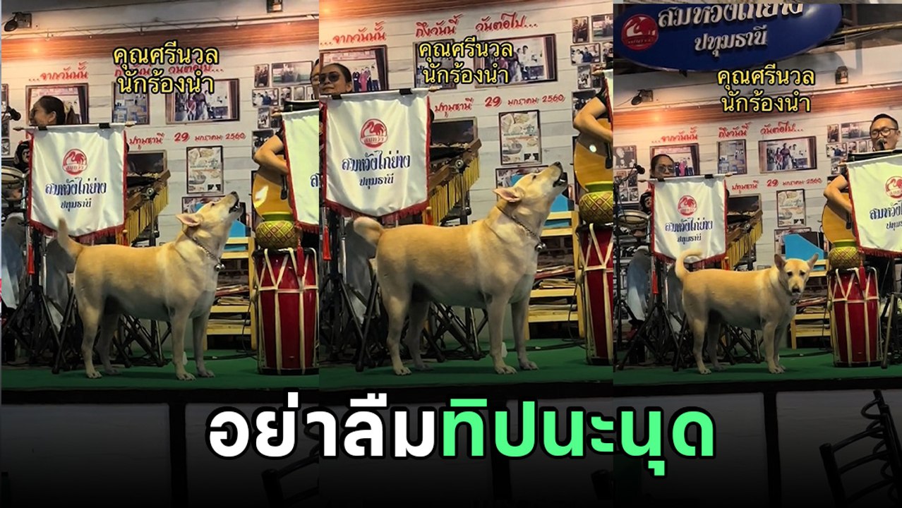 วันเกิดสุดพิเศษ ได้รับเกียรติจากนักร้อง 4 ขา เจ...