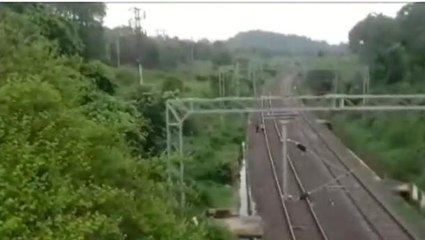 जबलपुर: ट्रेन से कटा युवक, हत्या या आत्महत्या की जांच में जुटी पुलिस