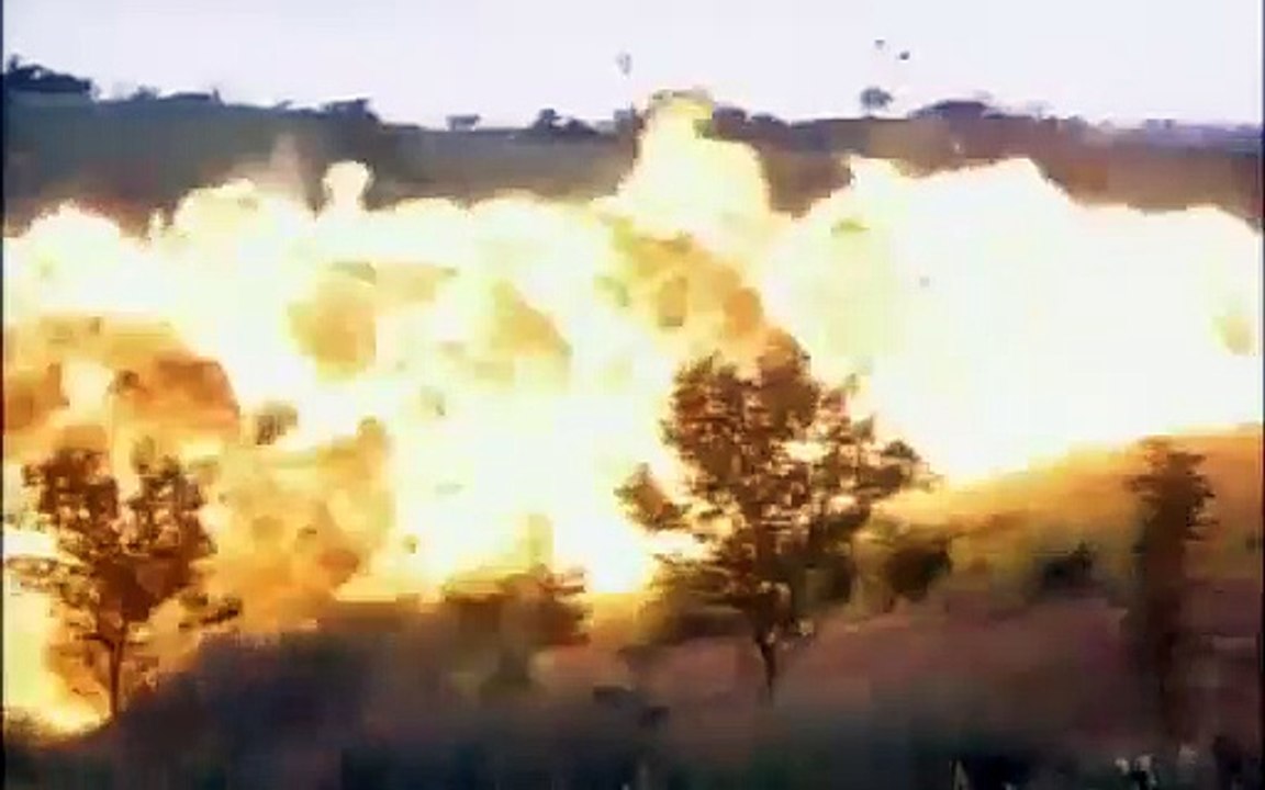 Les proies - Le carnage Bande-annonce (EN)