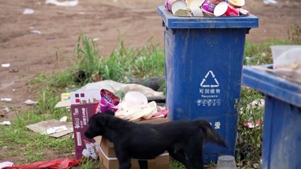 Chinese residents take stock of losses after floods