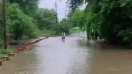 दतिया: मूसलाधार बारिश से लोग परेशान, जान जोखिम में डालकर पार कर रहे पुल