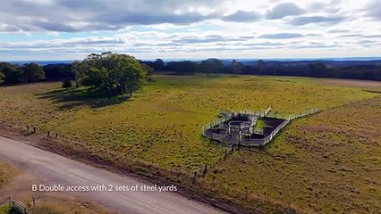 Koryphe, Maybole, NSW | August 8, 2023 | Farmonline