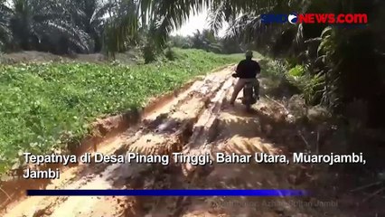 Ratusan KK Suku Anak Dalam Terancam Terisolir, Jalan Rusak Parah