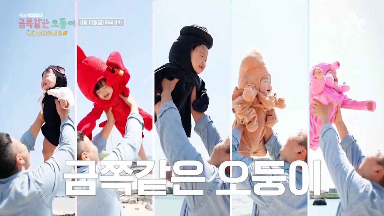 [예고] 무더위를 날릴 그들이 온다! 귀여움 한도 초과↗↗오둥이의 제주도 첫 여행기