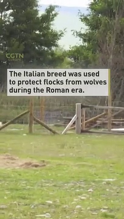 Tv new news headlines