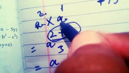 Understanding Algebraic Products